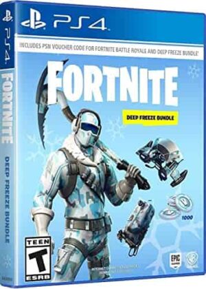 PS4 Fortnite Deep Freeze Bundle